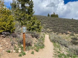 12 Exciting Things To Do In Sun Valley Idaho - Let's Travel Family