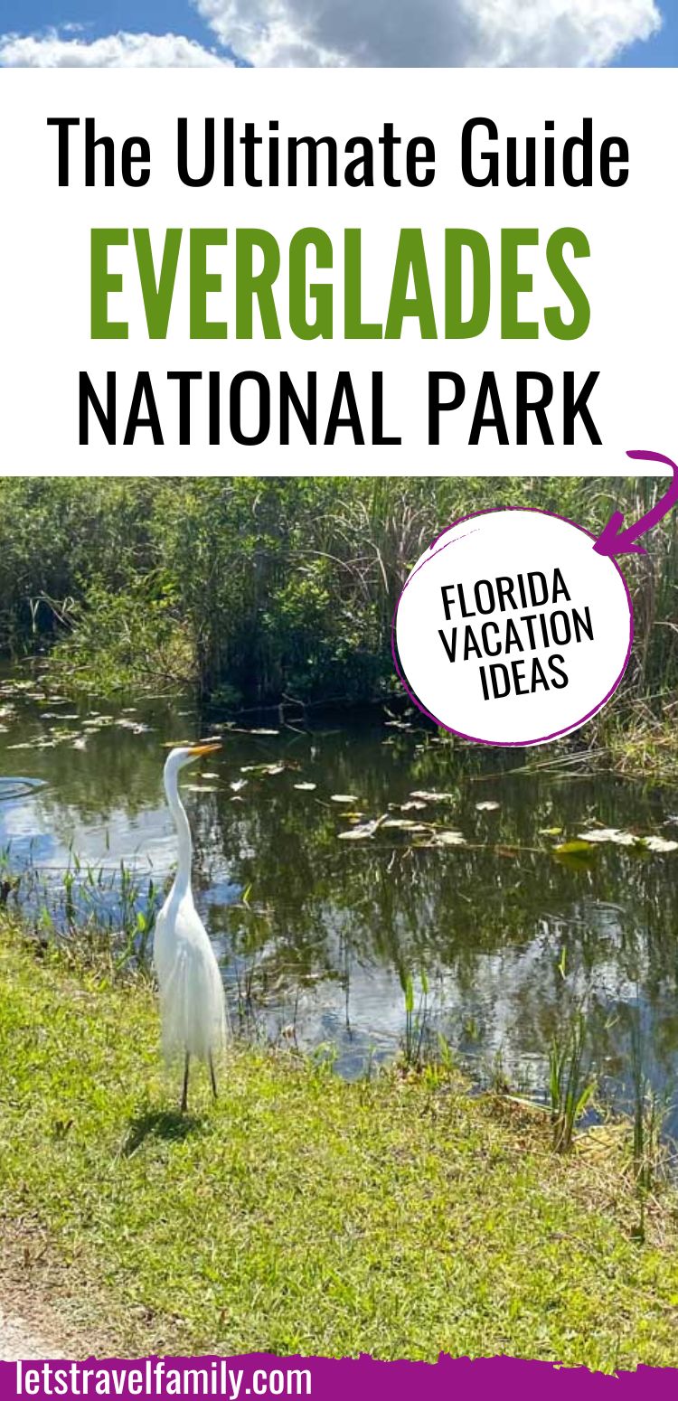 The Ultimate Guide to Everglades National Park - Let's Travel Family